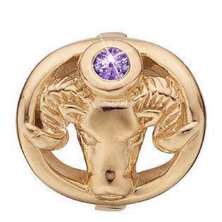 Christina Collect silver plated Aries Zodiac with purple stone (Mar 20 - Apr 19)